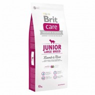 JUNIOR LARGE BREED LAMB & RICE, 3kg
